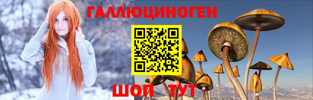 Псилоцибиновые грибы ЛСД Курчалой